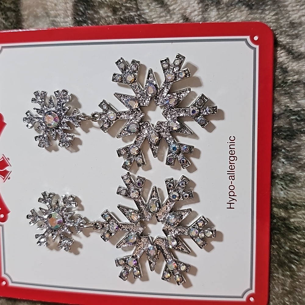 Snow flake earrings